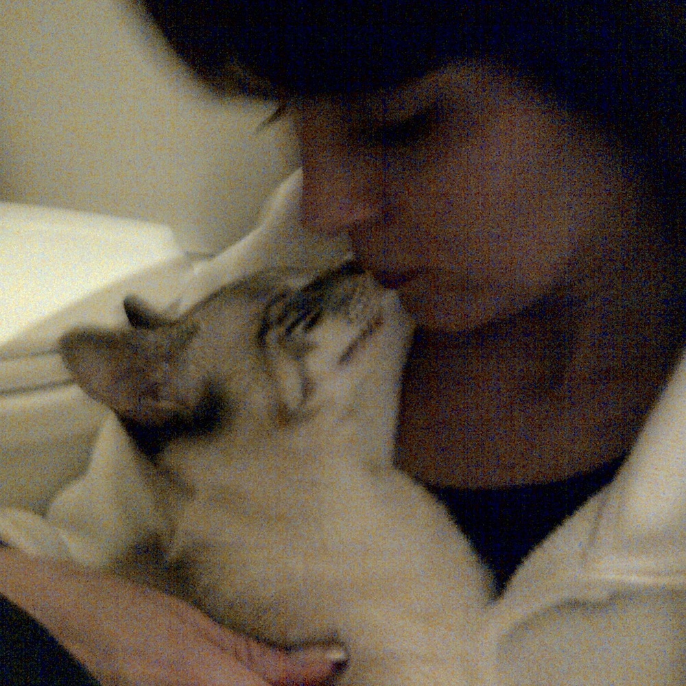 * Pease help me support local animal shelters *